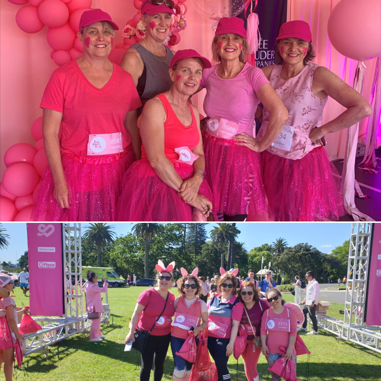 The Pink Ribbon Walk for NZ Breast Cancer Foundation NZ
